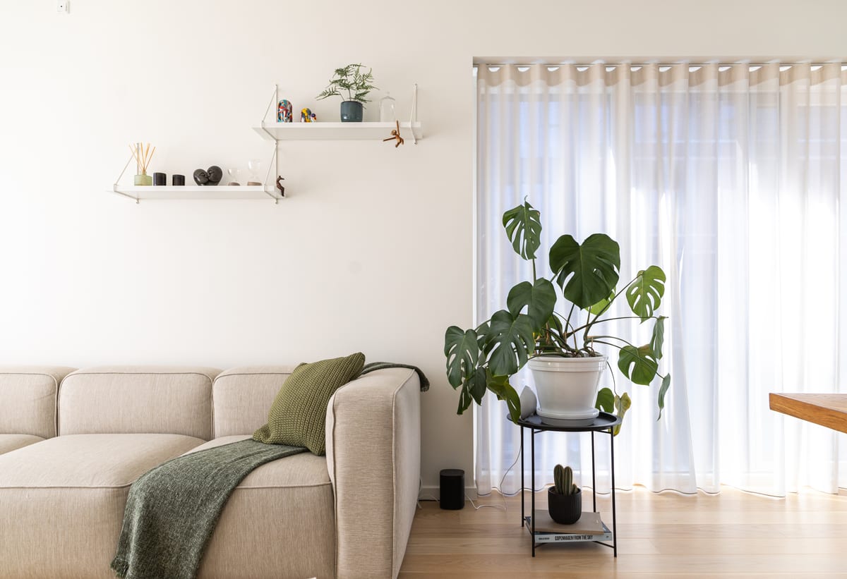 Chris e Michel · O canto do sofá com a monstera, projeto INSIDE remoto em Copenhague, 2022
